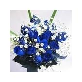 ブルーローズの花束　青いバラ20本＆カスミ草、グリーン付き　（生花）　お祝い・記念日・誕生日・フラワーギフト・バラ