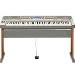 Casio WK3300AD 76 Key Electronic Keyboard with Power Supply