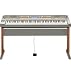 Musical Instruments : Casio WK3300AD 76 Key Electronic Keyboard with Power Supply