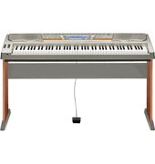 Childrens Toyshop  Musical Instruments : Casio WK3300AD 76 Key Electronic Keyboard with Power Supply