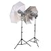 Interfit Photographic Stellar 500watt Tungsten Flood Light 2-Head Kit with Reflectors, Bulbs, Umbrellas & Light Stands, 1,000 Total Watts