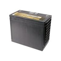 Dynasty - UPS battery - 1 x lead acid 134 Ah by APC
