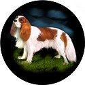 Welsh Slate Coasters, Gift Box of 4: Cavalier King Charles