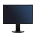 NEC Displays MultiSync E222W 22 inch TFT LCD Monitor - Black