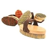 12PK LEGENDS HORSEHAIR BODY BRUSH, Color: May Vary - Randomly Picked PLAID (Catalog Category: Equine Grooming:BRUSHES, COMBS & CURRYS)