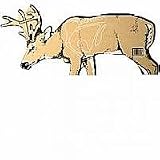 Delta® Cardboard Deer Target