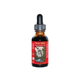 Amazon Therapeutic Laboratories Cola De Caballo