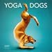 Yoga Dogs 2009 Calendar, 12x12