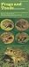 Books : Frogs and Toads in Your Pocket: A Guide to Amphibians of the Upper Midwest (Bur Oak Guide)