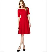 Panelled Fit & Flare Skater Dress