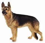 Dog & Pups Galore - German Shepherd
