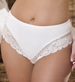 Elila Microfiber & Stretch Lace Panties (3309)