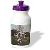 Rebecca Anne Grant Photography Nature Trees - White Dogwood Tree - Water Bottles