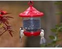 Songbird Essentials Clingers Only - Red