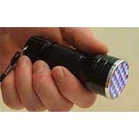 Ultra Violet - 21 LED flashlight by