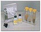 SciEd Soil Texture Unit