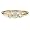 1/4 Carat Diamond 14k Yellow Gold Three Stone Engagement Ring