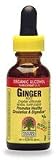 Ginger Root Extract - Promotes Healthy Circulation And Digestion, 2 oz,(Nature's Answer)
