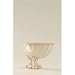 Belleek Archive 2008 Cardium on Shell B0434