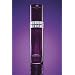 Victoria's Secret Basic Instinct Eau de Parfum Spray 2.5 oz (75 ml)