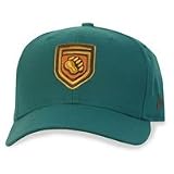 Fresno Grizzlies Adjustable Home Cap by New Era