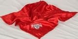 Wisconsin Badgers Baby Blanket
