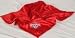 Wisconsin Badgers Baby Blanket