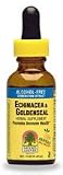 Echinacea  Goldenseal