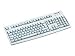 Cherry G83-6105 LUNIT-0 Tastatur USB 105 Tasten MS W95 IT Hellgrau