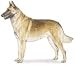 2.75 inch x 2 inch Acrylic Keyring Key Ring-Belgian Malinois