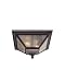 Murray Feiss OL1013ORB 2 Light Flush Mount Ceiling Light, Oil