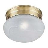 1LT FLUSH BRS CEILING FIXTURE 21tyviQBSIL. SL160 1LT COBSTN FLUSH CEILING FIXTR