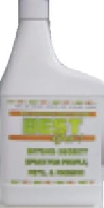 Best Yet Bed Bug Control