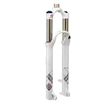 RockShox Reba RL - Dual Air 100mm 29-Inch 9mm (White)