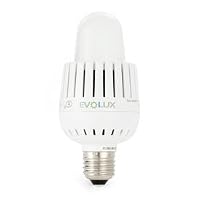EvoLux S 13 Watt LED Medium Base Long Light Bulb, Cool White