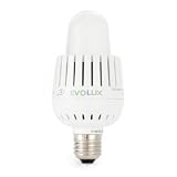 EvoLux S 13 Watt LED Medium Base Long Light Bulb, Warm White
