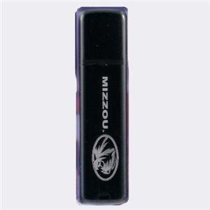 Univ Of Michigan 1GB