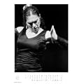 Flamenco 2012