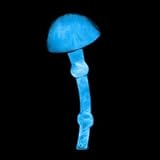Lumisource MH-SM-B Single Mushroom Electra Phosphor Table Lamp,