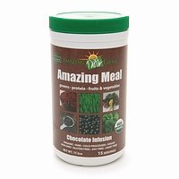 Amazing Grass Amazing Meal, Organic Chocolate Infusion Powder, Gluten Free, 15 Servings, 17.3-Ounce Container
From Amazing Grass
