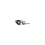 Panasonic TY-EW3D10U 3D Active Shutter Eyewear for Panasonic 3D HTDVs, Black and Silver