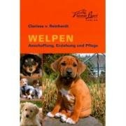 Welpen: Anschaffung, Erziehung und Pflege