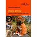 Welpen: Anschaffung, Erziehung und Pflege