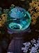 Illuminarie Globe - Ocean Mist (10")