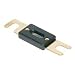 Raptor RANL2002 200 Amp Gold ANL Fuses