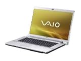 Sony Vaio VGN-FW11L 16.4 Zoll WXGA++ Notebook (Intel Core 2 Duo P8400 2,2 GHz, 2GB RAM, 250GB HDD, ATI Mobility Radeon HD3470, Blu-ray/ DVD+/- RW DL, Windows Vista Home Premium)