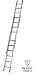 Extension
