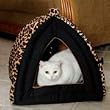 Pet Hotel for Cats, Small Dogs and Other Critters