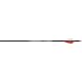 Carbon Express CX Mutiny Arrows with Predator Vanes 6 - Pk.