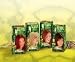 Naturtint Hair Color I6.66 Firelnd Kit (kit)